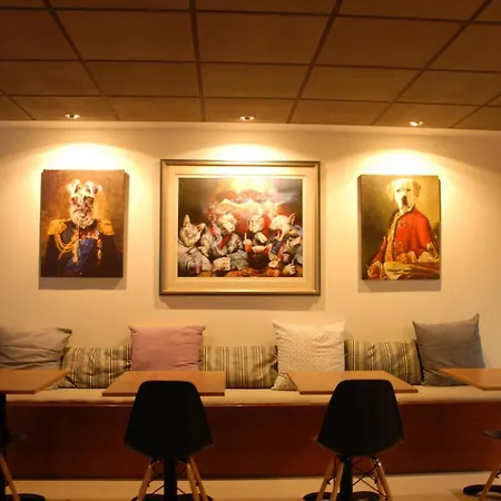 Bed & Breakfast Citizen 9